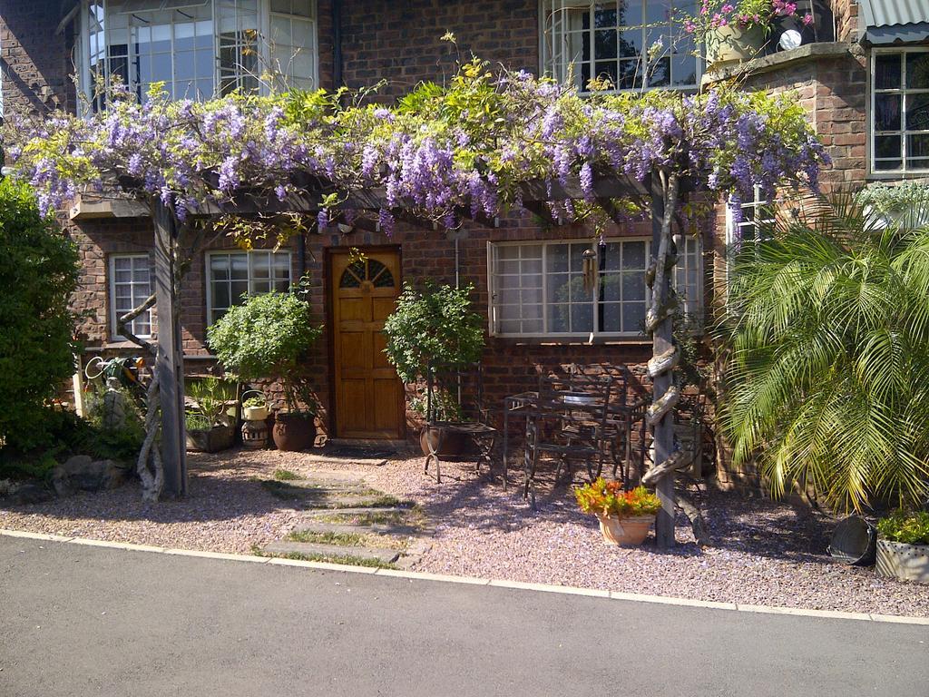 Babbling Brook Bed & Breakfast Pietermaritzburg Ngoại thất bức ảnh
