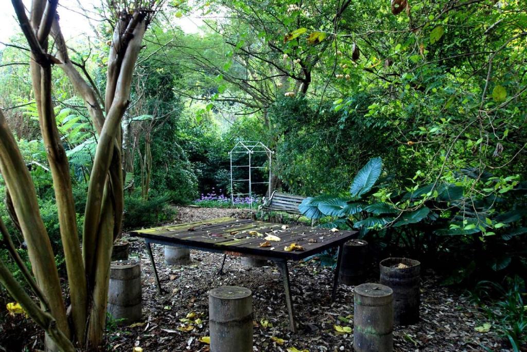 Babbling Brook Bed & Breakfast Pietermaritzburg Ngoại thất bức ảnh