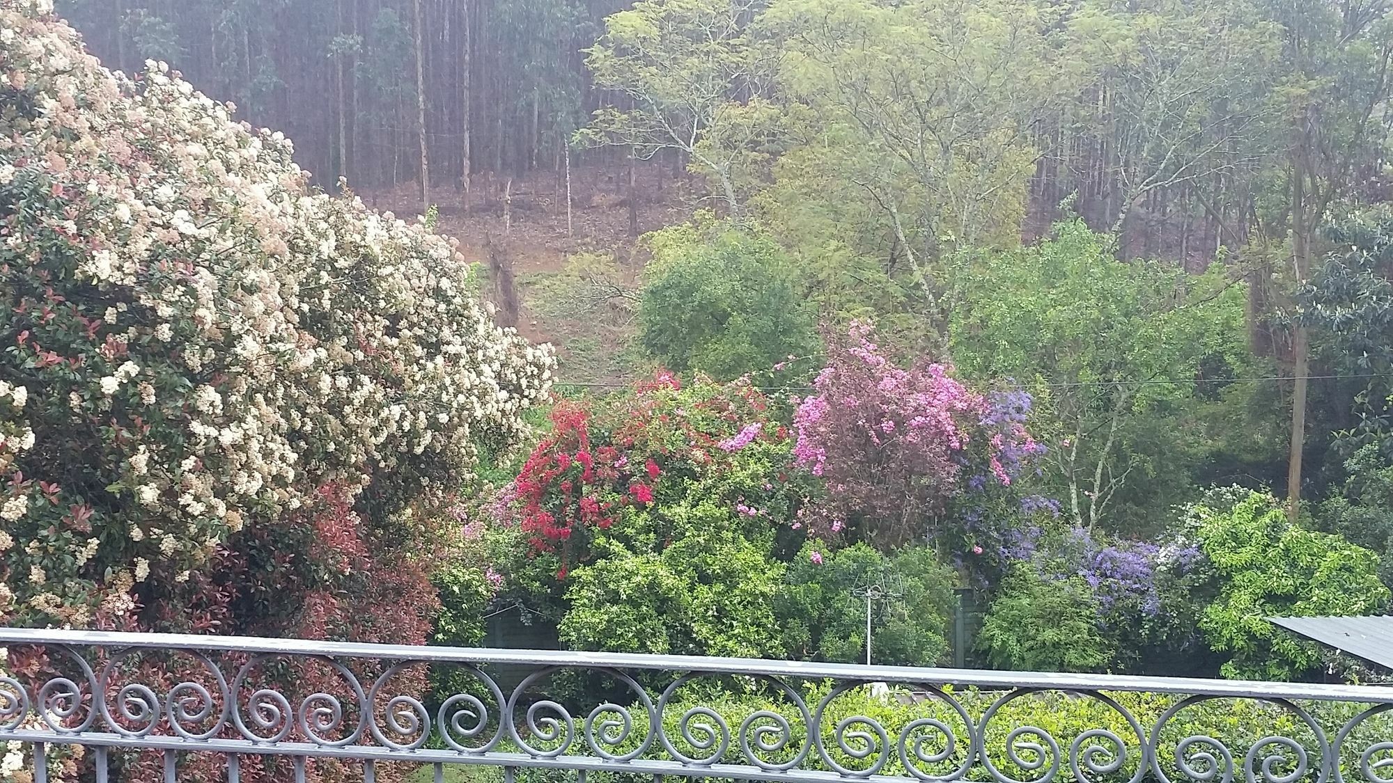 Babbling Brook Bed & Breakfast Pietermaritzburg Ngoại thất bức ảnh