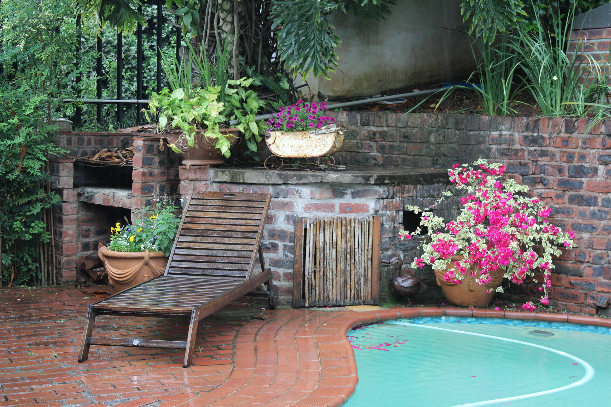 Babbling Brook Bed & Breakfast Pietermaritzburg Ngoại thất bức ảnh